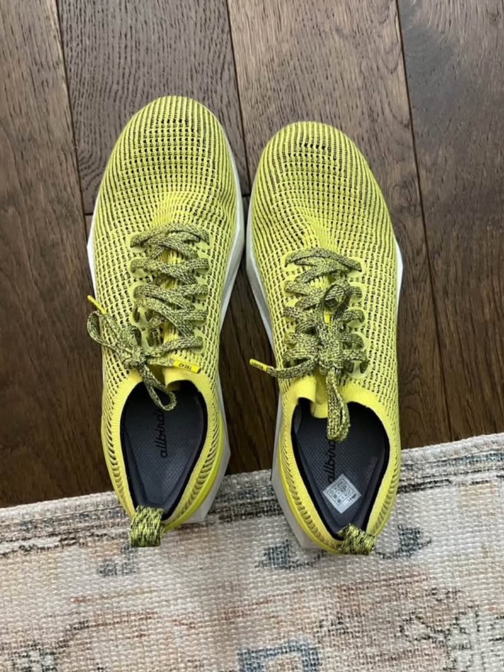 Women’s all bird sneakers